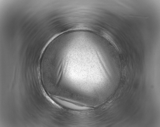 X0000061111092200512022119