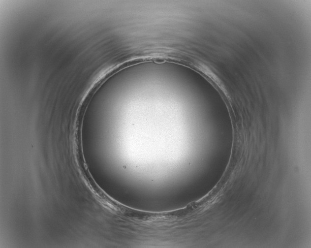 X0000061111093200512022119