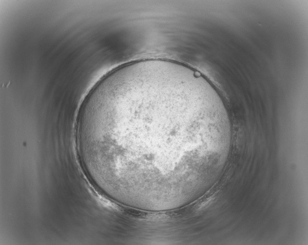 X0000061111094200512022119