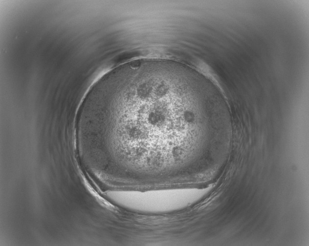 X0000061111095200512022119