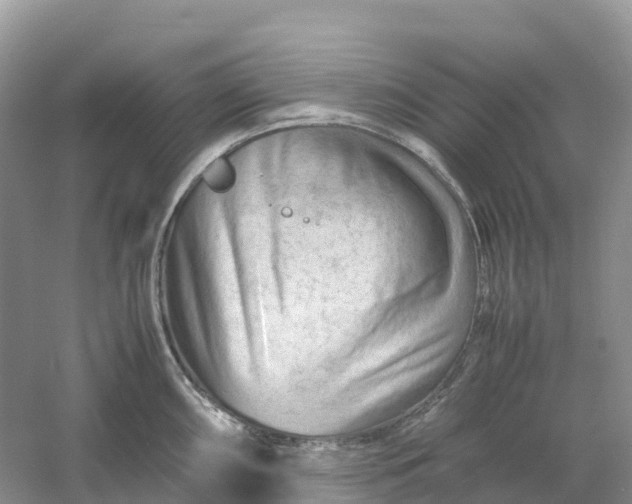 X0000061111098200512022119