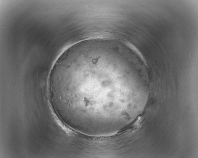 X0000061111099200512022119