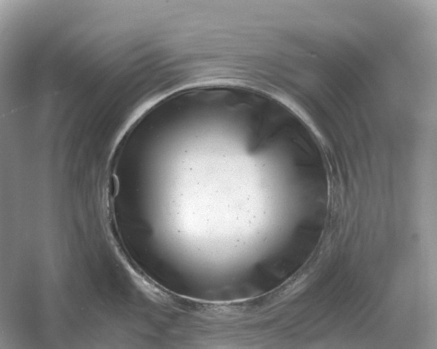 X0000061111101200512022119