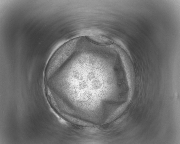 X0000061111103200512022119