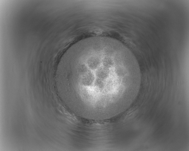 X0000061111105200512022118