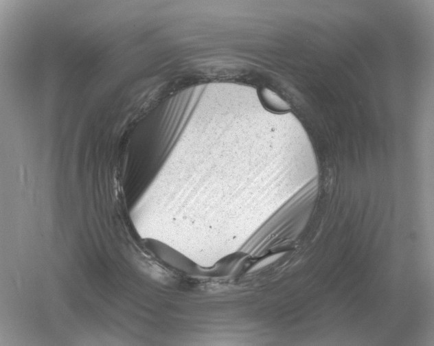 X0000061111108200512022118