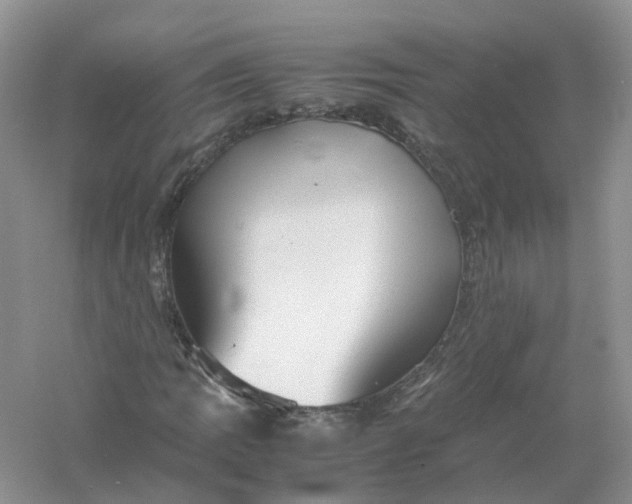 X0000061111109200512022118