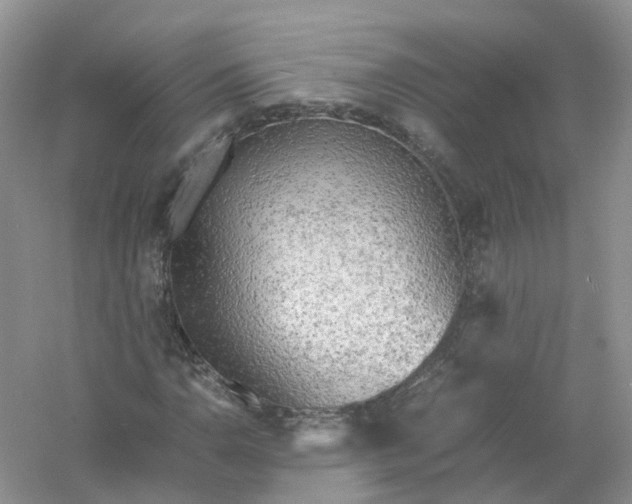 X0000061111110200512022118