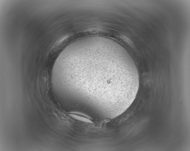 X0000061111111200512022118