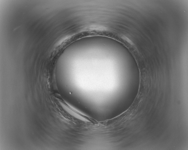 X0000061111112200512022118