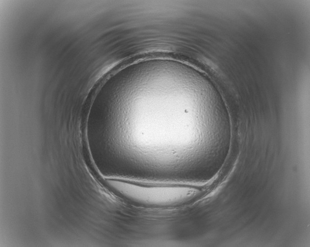 X0000061111113200512022118