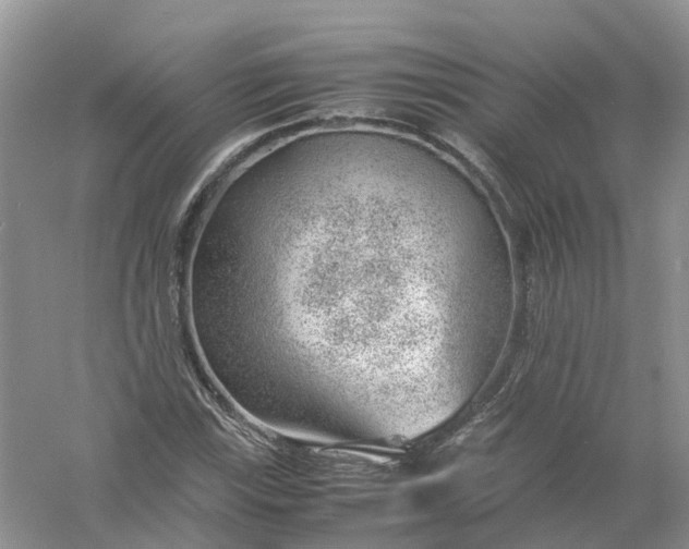 X0000061111115200512022118