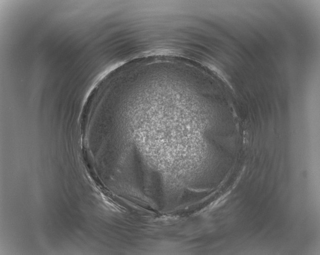 X0000061111117200512022118