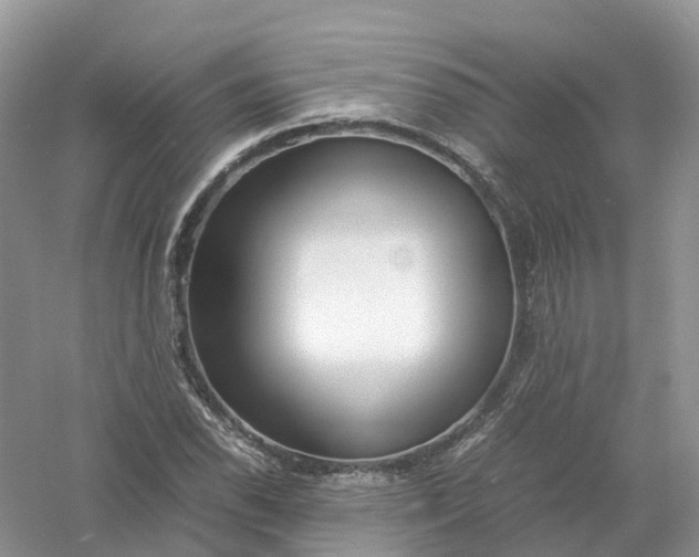 X0000061111118200512022118