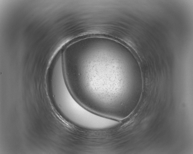 X0000061111119200512022118