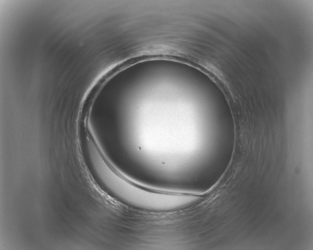 X0000061111120200512022118