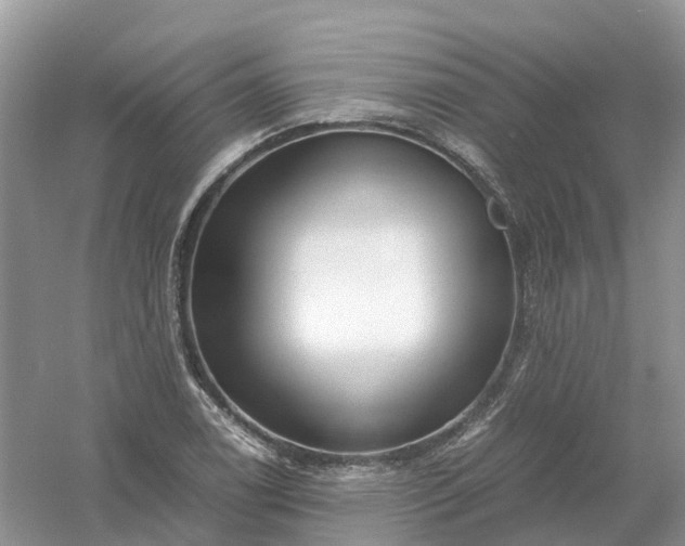 X0000061111122200512022118