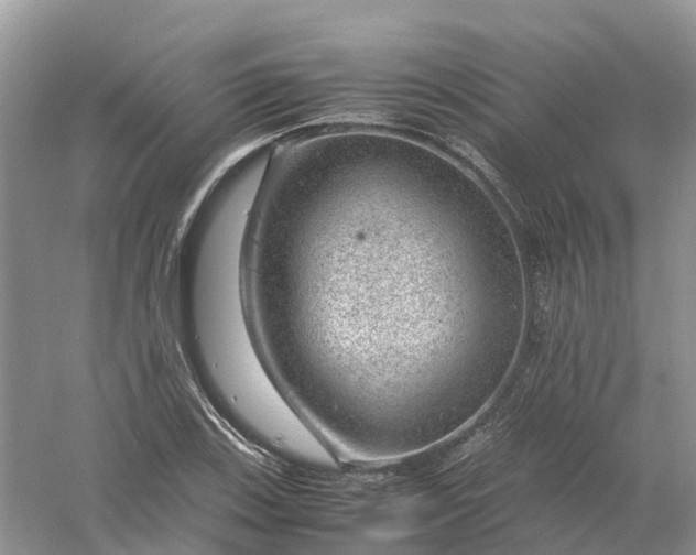 X0000061111123200512022118