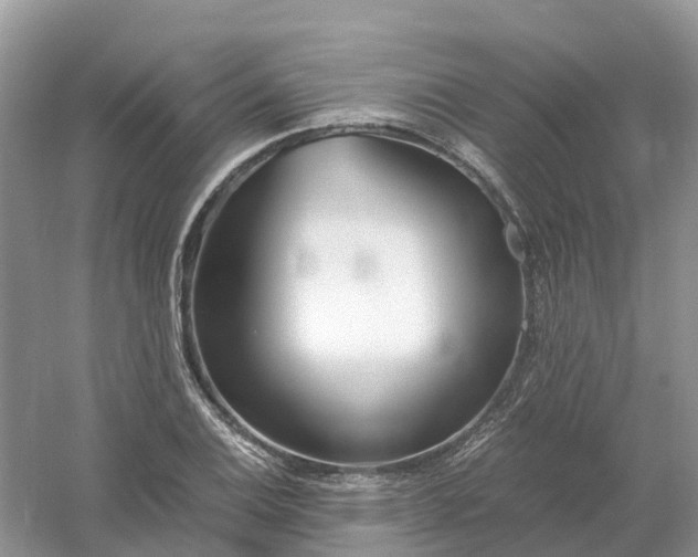 X0000061111124200512022118