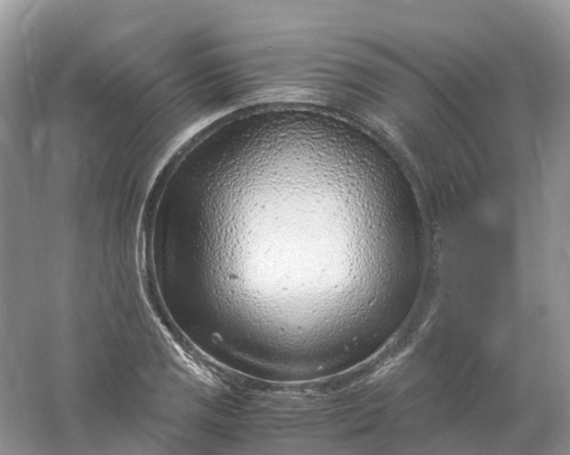 X0000061111125200512022118