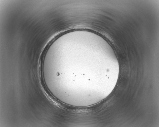 X0000061111126200512022118