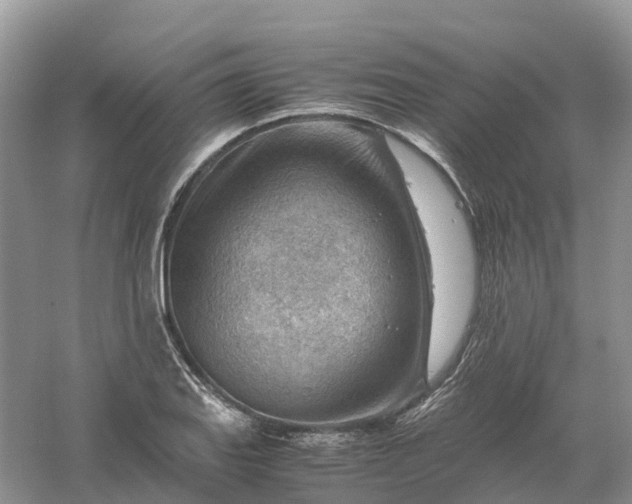 X0000061111127200512022118