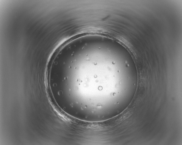 X0000061111128200512022118