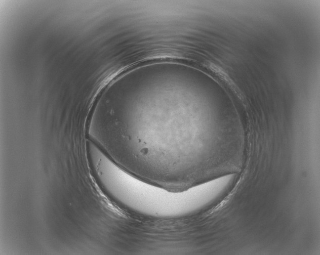 X0000061111129200512022118