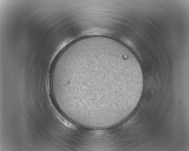 X0000061111130200512022118