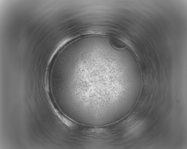 X0000061111131200512022118