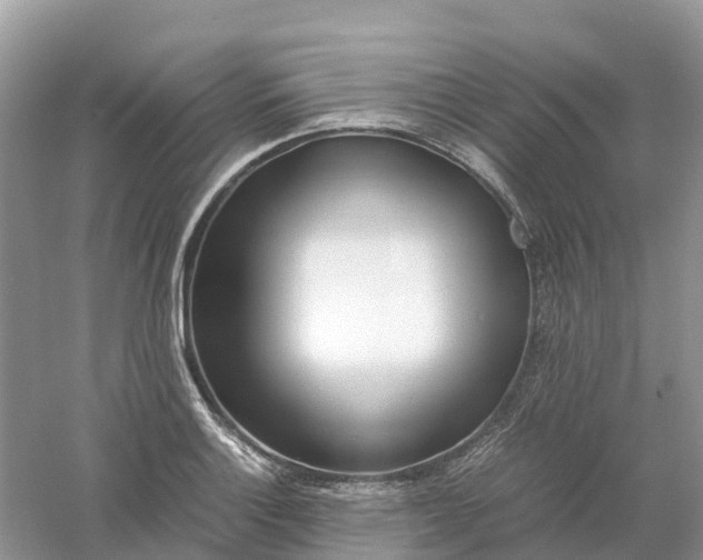 X0000061111132200512022118