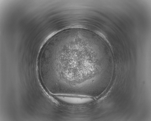 X0000061111133200512022118