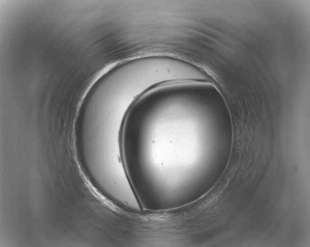 X0000061111134200512022118