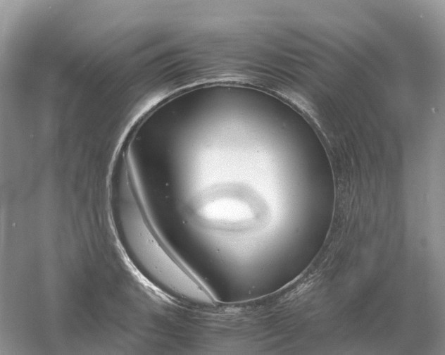 X0000061111135200512022118