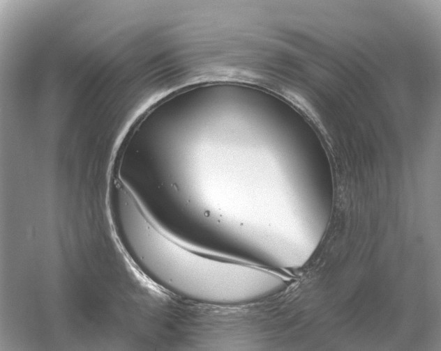 X0000061111136200512022118