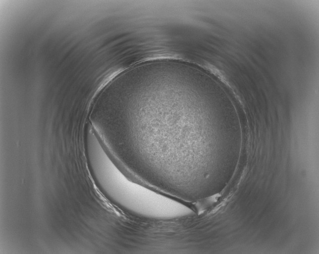 X0000061111137200512022118