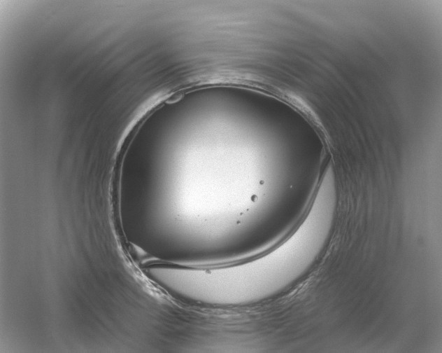 X0000061111138200512022118