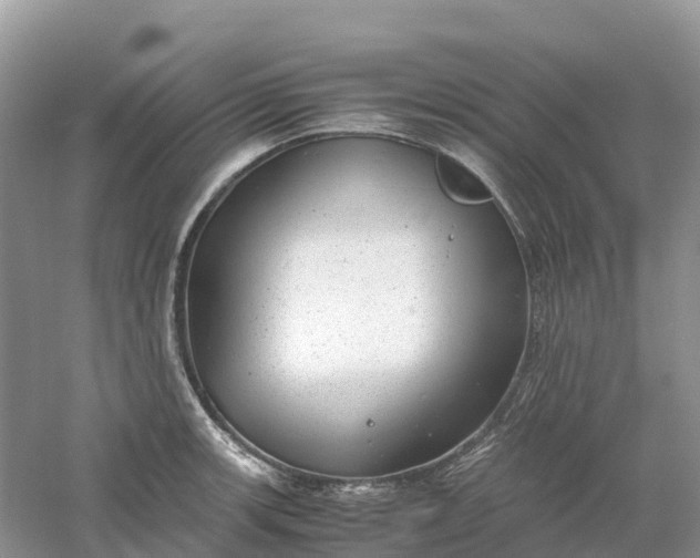 X0000061111139200512022118