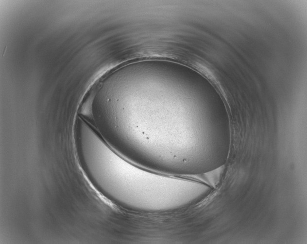 X0000061111141200512022118