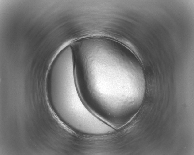 X0000061111142200512022118