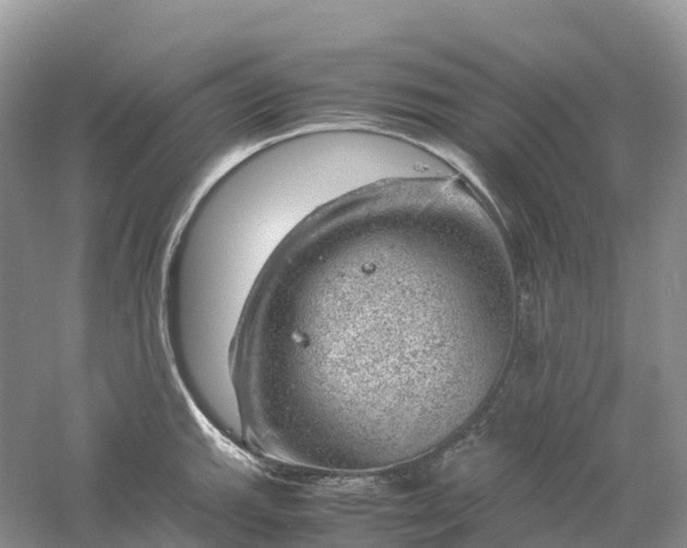 X0000061111143200512022118