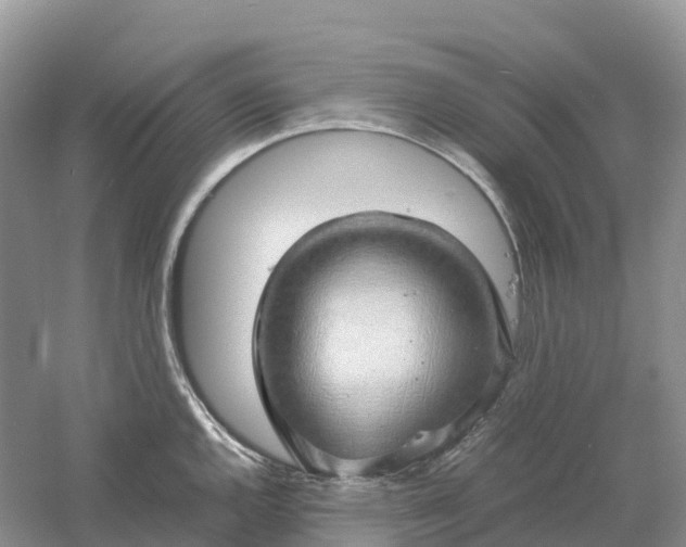 X0000061111144200512022118