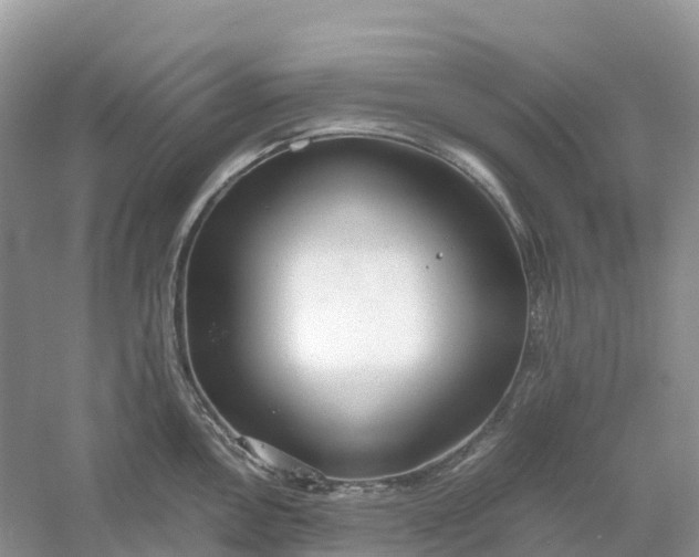 X0000061111146200512022119