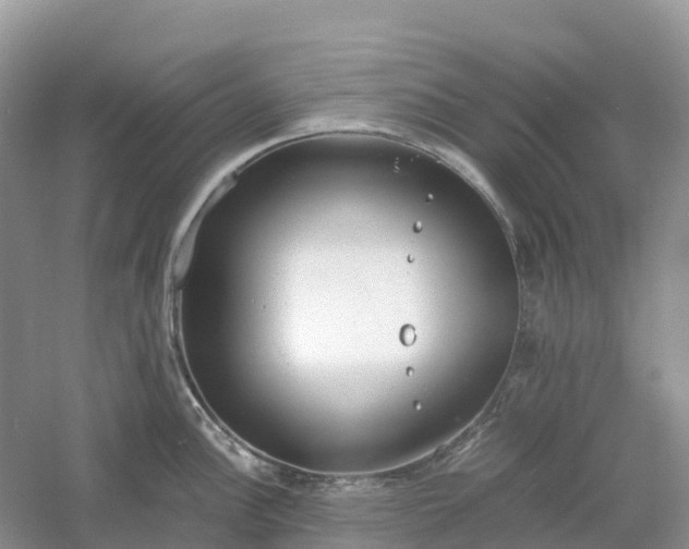 X0000061111148200512022119