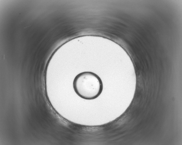 X0000061111150200512022119