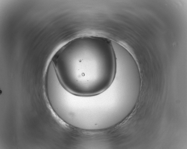 X0000061111152200512022119