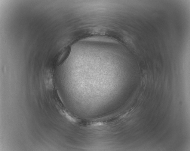 X0000061111154200512022118