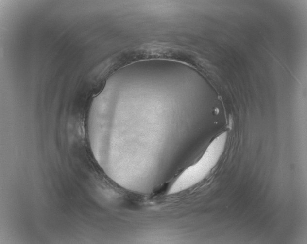 X0000061111155200512022118