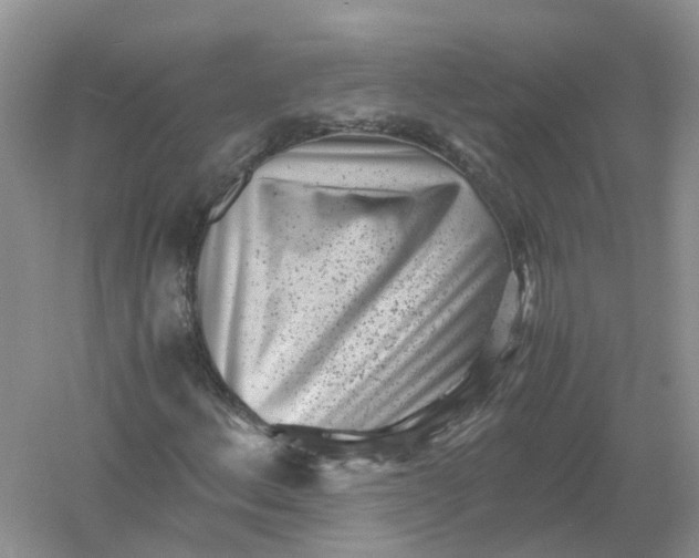 X0000061111156200512022118