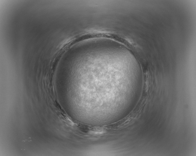 X0000061111157200512022118